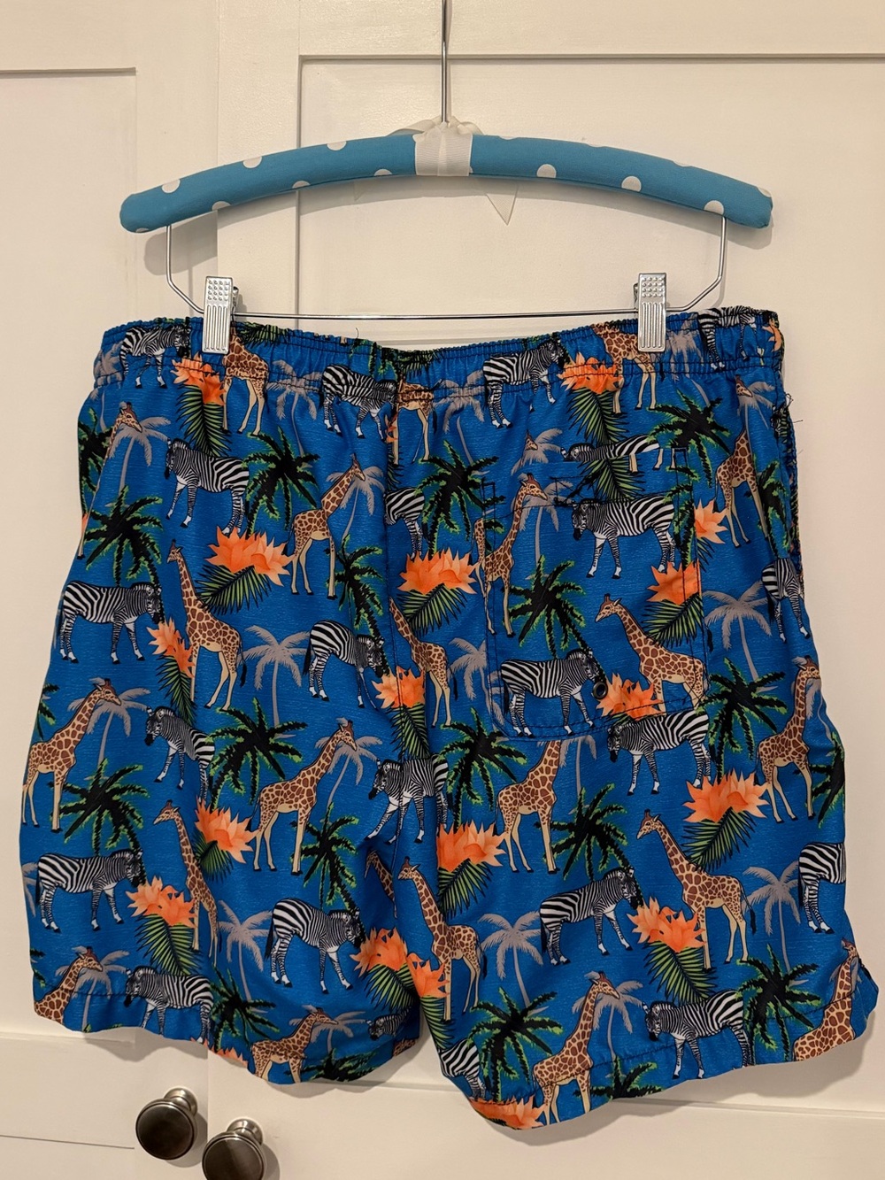 Beach Bros. Volley Swim Trunks - Picture 5 of 7
